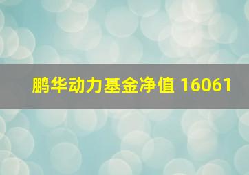 鹏华动力基金净值 16061